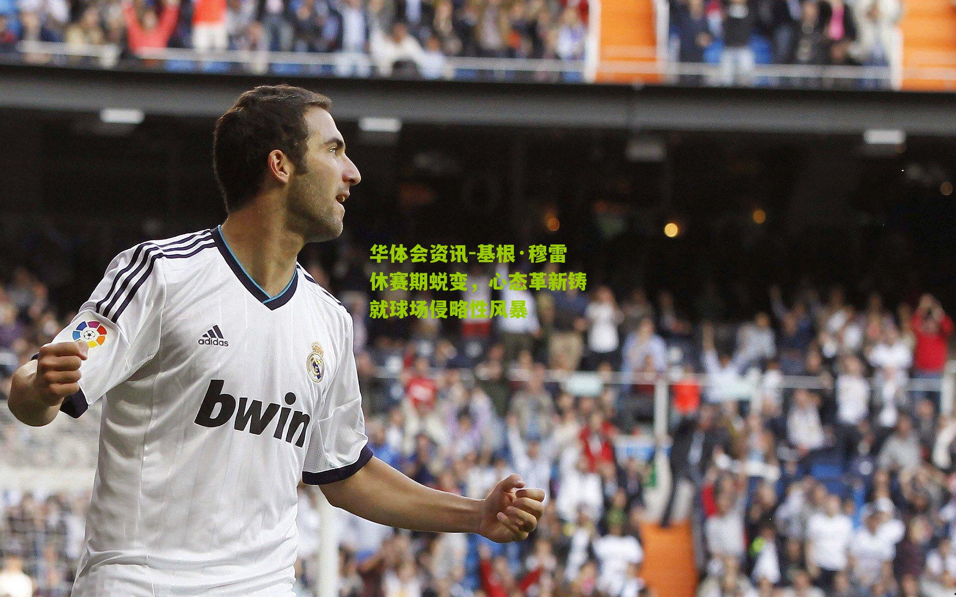 基根·穆雷休赛期蜕变，心态革新铸就球场侵略性风暴