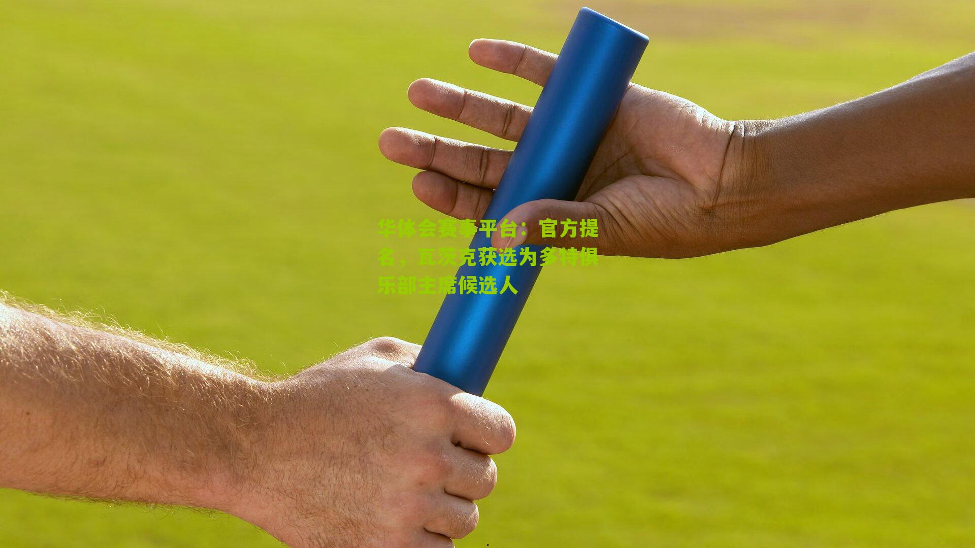 官方提名，瓦茨克获选为多特俱乐部主席候选人