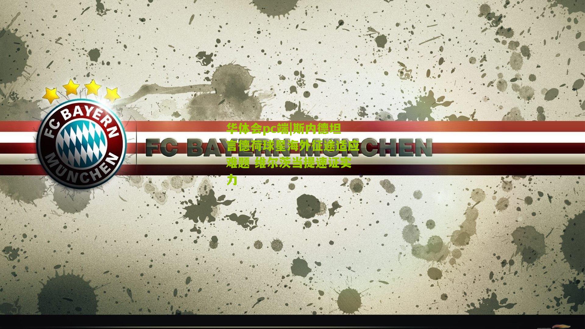 斯内德坦言德荷球星海外征途适应难题 维尔茨当提速证实力